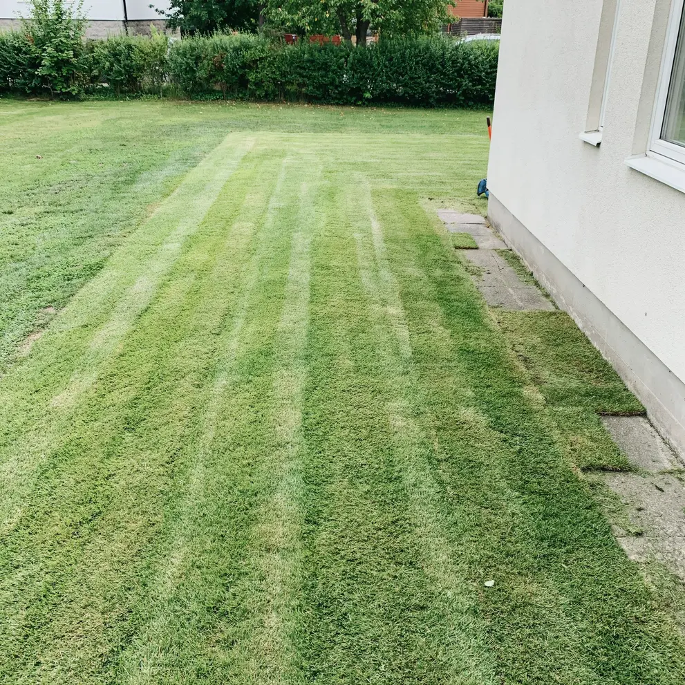 grasklippning vallingby