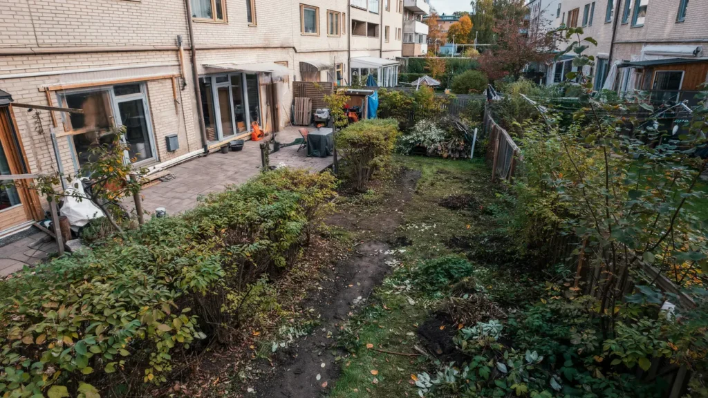 rensning av buskar och tr d vid radhus i r cksta
